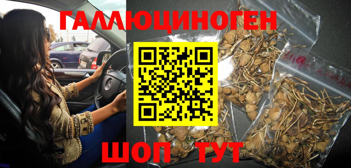 Псилоцибиновые грибы Cubensis  Псилоцибиновые грибы Psilocybine cubensis  Красный Сулин  Вход с VPN 
