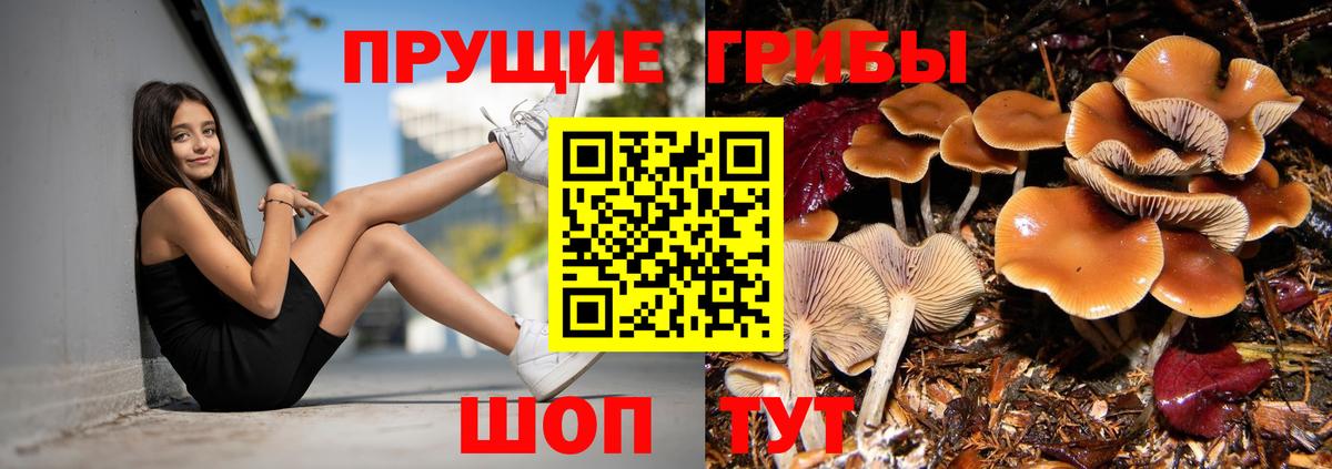 Галлюциногенные грибы мицелий Красный Сулин